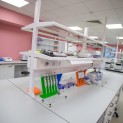 GENETICS LABORATORY WAS OPENED AT THE AGRARIAN UNIVERSITY