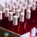 FAS: subjects of the Russian Federation should not additionally restrict sales of alcohol products through public catering