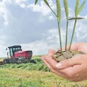 CASSATION DECLARED INVALID THE AUCTION FOR THE SALE OF SHARES OF THE LARGEST AGRICULTURAL PRODUCER OF THE KHABAROVSK REGION