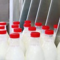 FAS IDENTIFIES COMPANIES THAT DOMINATE IN THE RAW MILK MARKET